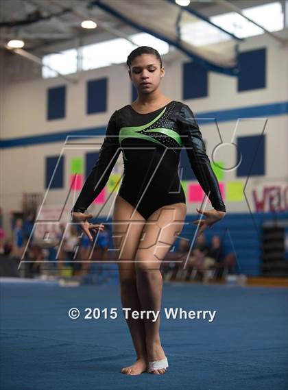 Thumbnail 1 in NYSPHSAA Championships 2015 photogallery.