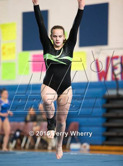 Thumbnail 1 in NYSPHSAA Championships 2015 photogallery.