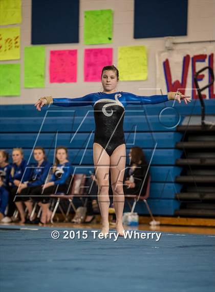 Thumbnail 2 in NYSPHSAA Championships 2015 photogallery.