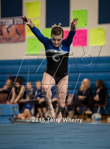 Thumbnail 2 in NYSPHSAA Championships 2015 photogallery.