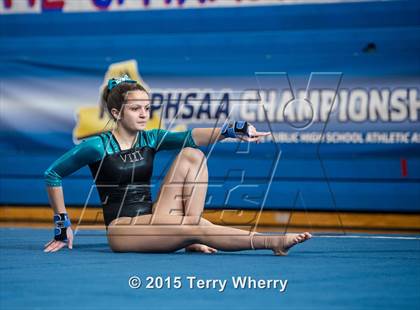 Thumbnail 1 in NYSPHSAA Championships 2015 photogallery.
