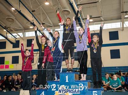 Thumbnail 3 in NYSPHSAA Championships 2015 photogallery.
