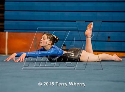 Thumbnail 2 in NYSPHSAA Championships 2015 photogallery.