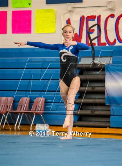 Thumbnail 3 in NYSPHSAA Championships 2015 photogallery.