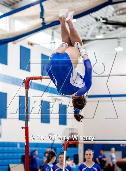 Thumbnail 1 in NYSPHSAA Championships 2015 photogallery.