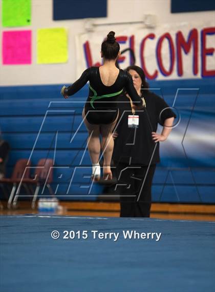 Thumbnail 3 in NYSPHSAA Championships 2015 photogallery.
