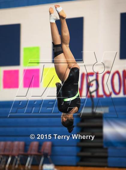 Thumbnail 3 in NYSPHSAA Championships 2015 photogallery.