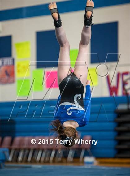 Thumbnail 3 in NYSPHSAA Championships 2015 photogallery.