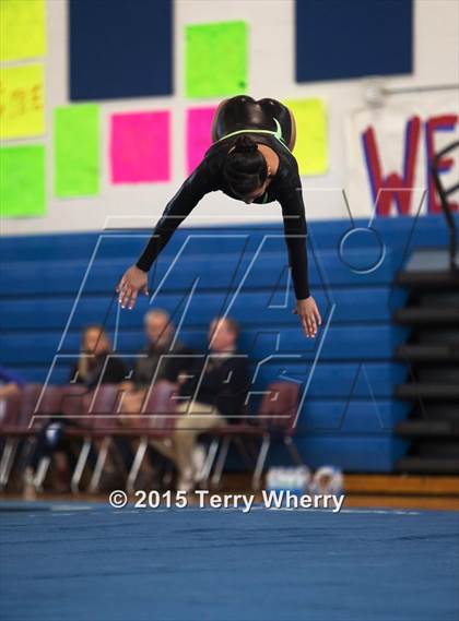 Thumbnail 3 in NYSPHSAA Championships 2015 photogallery.