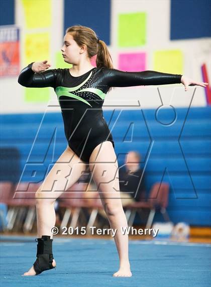 Thumbnail 3 in NYSPHSAA Championships 2015 photogallery.