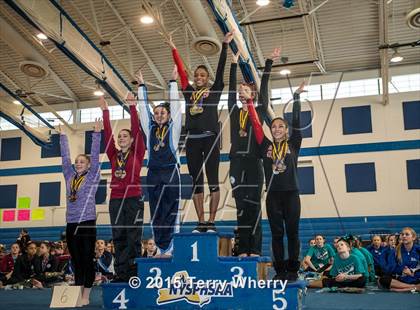 Thumbnail 2 in NYSPHSAA Championships 2015 photogallery.