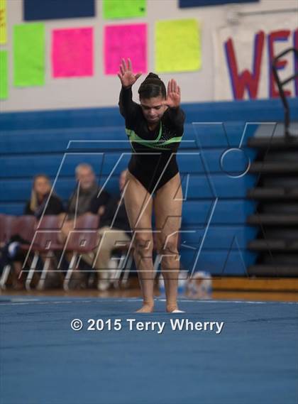 Thumbnail 1 in NYSPHSAA Championships 2015 photogallery.