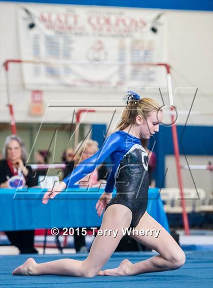 Thumbnail 3 in NYSPHSAA Championships 2015 photogallery.