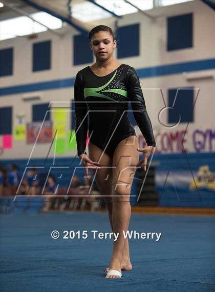 Thumbnail 2 in NYSPHSAA Championships 2015 photogallery.
