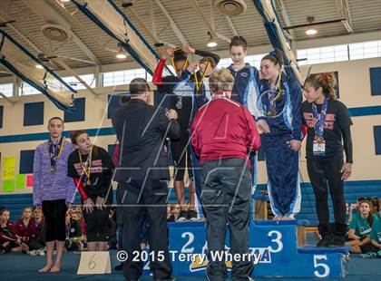 Thumbnail 2 in NYSPHSAA Championships 2015 photogallery.