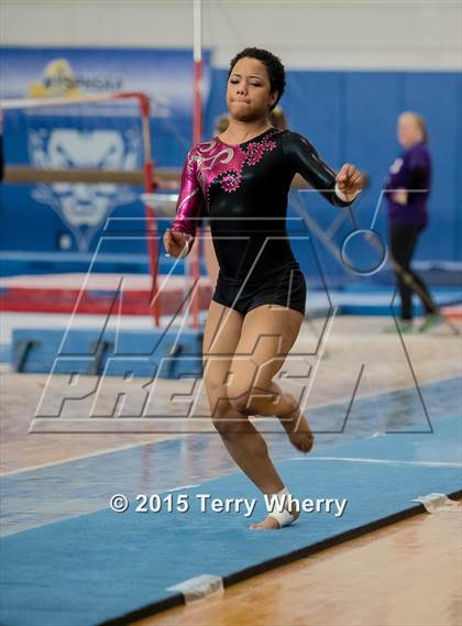 Thumbnail 1 in NYSPHSAA Championships 2015 photogallery.