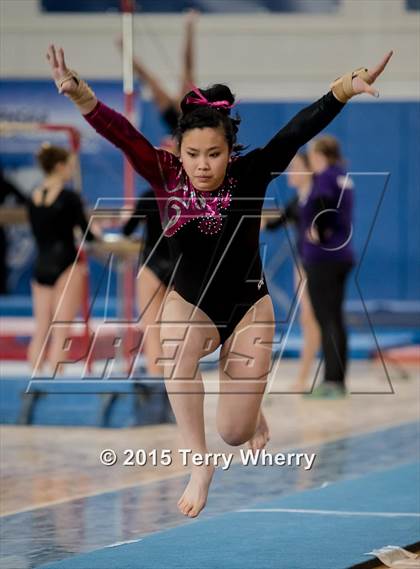 Thumbnail 1 in NYSPHSAA Championships 2015 photogallery.