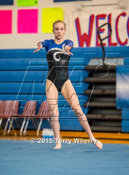 Thumbnail 2 in NYSPHSAA Championships 2015 photogallery.