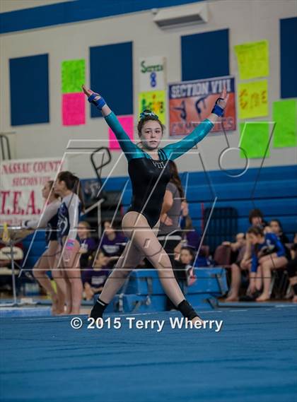 Thumbnail 3 in NYSPHSAA Championships 2015 photogallery.