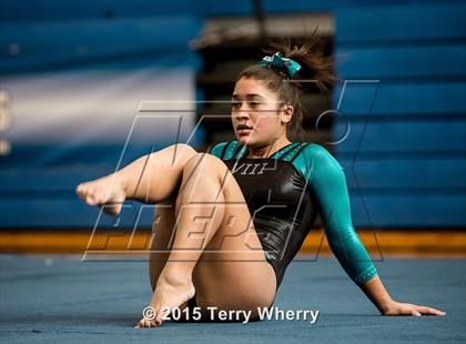 Thumbnail 1 in NYSPHSAA Championships 2015 photogallery.