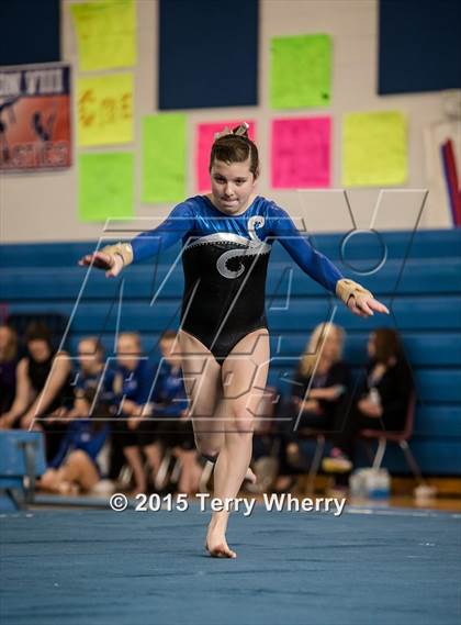 Thumbnail 3 in NYSPHSAA Championships 2015 photogallery.