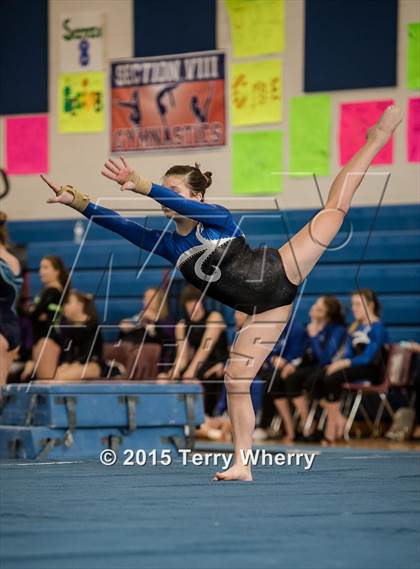 Thumbnail 3 in NYSPHSAA Championships 2015 photogallery.