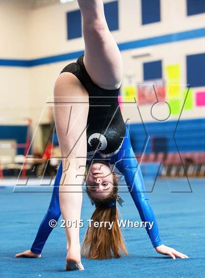 Thumbnail 1 in NYSPHSAA Championships 2015 photogallery.
