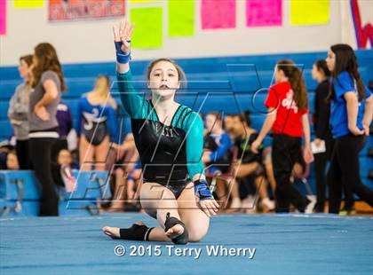 Thumbnail 2 in NYSPHSAA Championships 2015 photogallery.