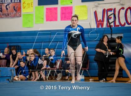 Thumbnail 3 in NYSPHSAA Championships 2015 photogallery.