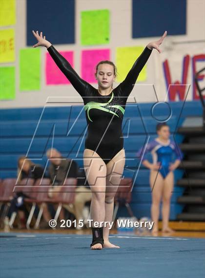 Thumbnail 1 in NYSPHSAA Championships 2015 photogallery.