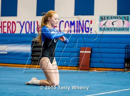 Thumbnail 3 in NYSPHSAA Championships 2015 photogallery.