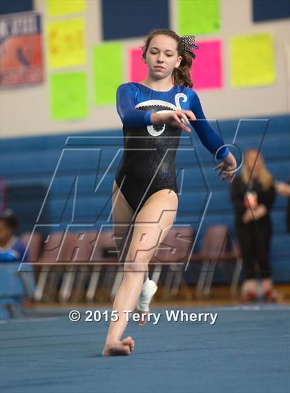 Thumbnail 3 in NYSPHSAA Championships 2015 photogallery.