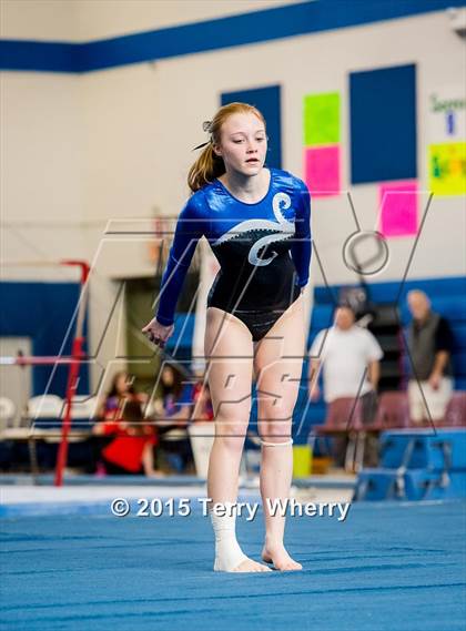 Thumbnail 1 in NYSPHSAA Championships 2015 photogallery.