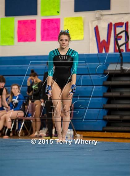 Thumbnail 1 in NYSPHSAA Championships 2015 photogallery.
