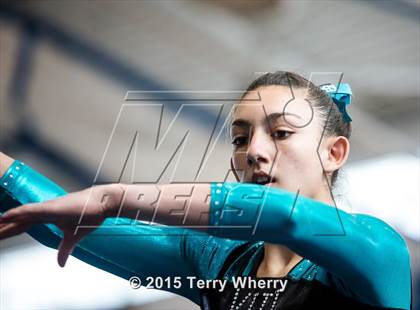 Thumbnail 1 in NYSPHSAA Championships 2015 photogallery.