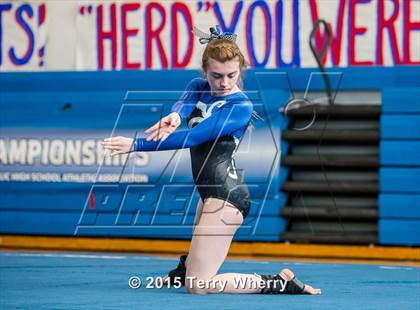 Thumbnail 2 in NYSPHSAA Championships 2015 photogallery.