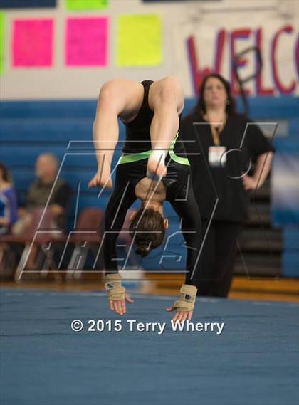 Thumbnail 3 in NYSPHSAA Championships 2015 photogallery.
