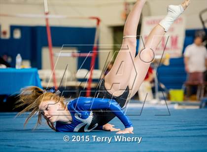 Thumbnail 3 in NYSPHSAA Championships 2015 photogallery.