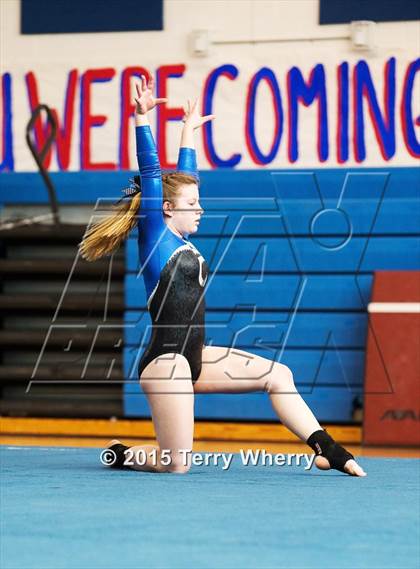 Thumbnail 1 in NYSPHSAA Championships 2015 photogallery.
