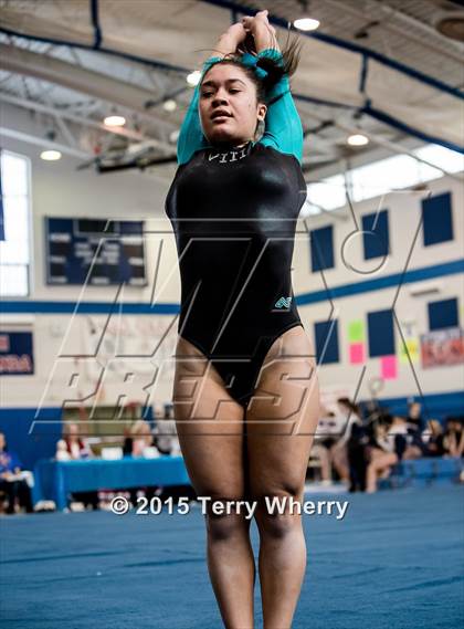 Thumbnail 1 in NYSPHSAA Championships 2015 photogallery.