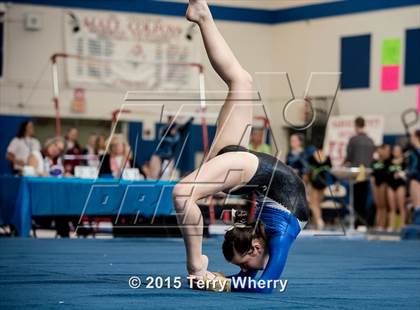 Thumbnail 3 in NYSPHSAA Championships 2015 photogallery.