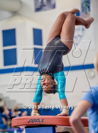 Thumbnail 2 in NYSPHSAA Championships 2015 photogallery.