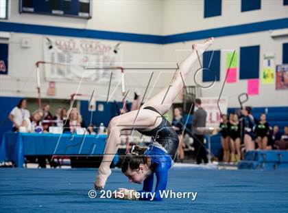 Thumbnail 1 in NYSPHSAA Championships 2015 photogallery.