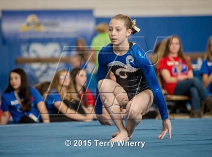 Thumbnail 2 in NYSPHSAA Championships 2015 photogallery.