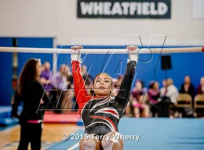 Thumbnail 3 in NYSPHSAA Championships 2015 photogallery.