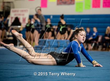 Thumbnail 1 in NYSPHSAA Championships 2015 photogallery.
