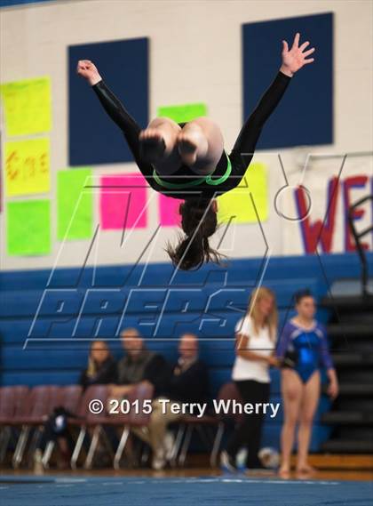 Thumbnail 1 in NYSPHSAA Championships 2015 photogallery.