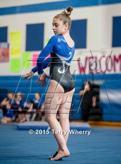 Thumbnail 1 in NYSPHSAA Championships 2015 photogallery.