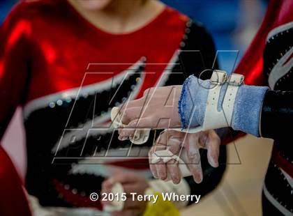 Thumbnail 1 in NYSPHSAA Championships 2015 photogallery.
