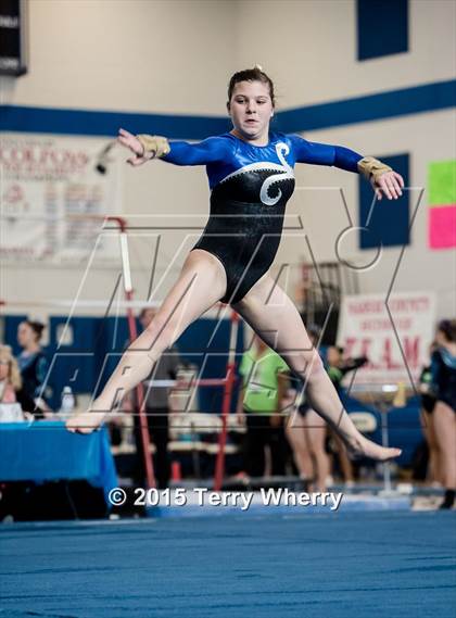 Thumbnail 1 in NYSPHSAA Championships 2015 photogallery.